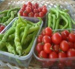 azienda agricola Bignami