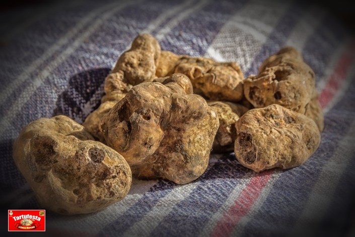 Tartufesta 066-Modifica-Modifica